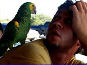 Павел Деревянко: «Попугая Голубчика я озвучивал стоя. По пять часов в день!»