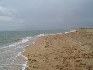 В Крыму сотрудник СЭС оказался под следствием