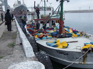 Суд Севастополя накажет турецких браконьеров на 100 тысяч