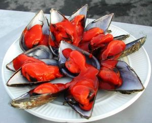 В Севастополе будут бесплатно раздавать мидии и угощать вином