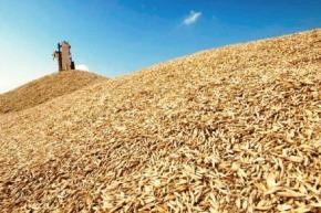 Украина собирается продать половину урожая зерна