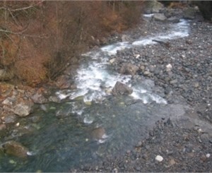 В Симферополе двое парней спасли тонувшую старушку 