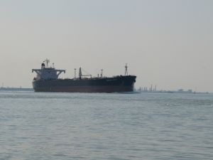 С побережья Черного моря убрали 9 тонн нефтепродуктов