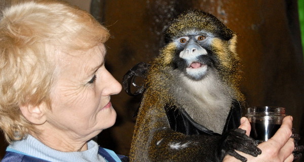 Любимцу запорожской детворы Чипу нашли пару