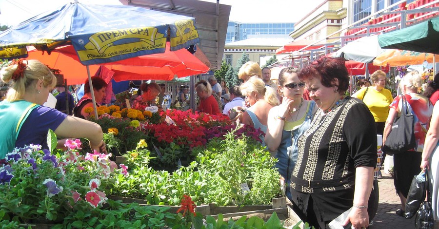 Зеленый базар с рассадой переехал