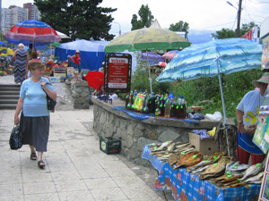 Холера до Крыма не добралась