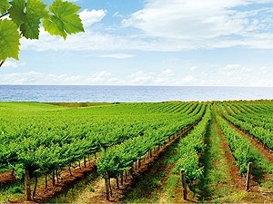 Евпатория - город солнца, моря и вина!