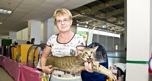 Горожанам показали кошек с норковой шерстью и собачьими повадками