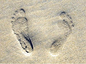 Советы юриста: Что делать, если за вход на пляж требуют деньги?