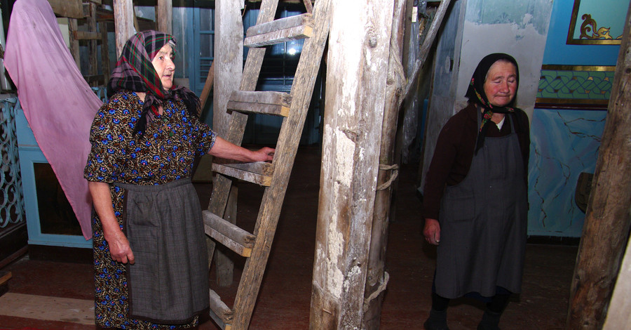 Волки терроризируют жителей одесских сел