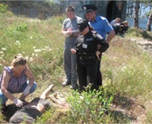 В Севастополе иностранцы за корову забили мужчину палками до смерти 