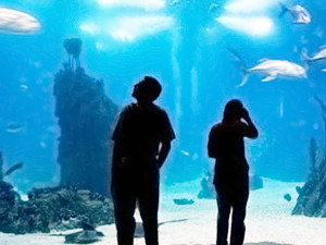В зоопарке хотят построить океанариум