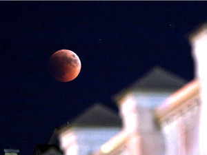 Чем жил Киев: Лунное затмение, сколько стоит отравиться в супермаркете и год под властью Попова