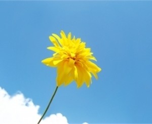 Всю неделю в Крыму будет стоять 30-градусная жара