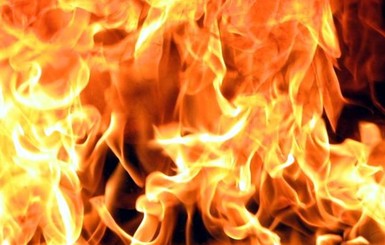 На Донетчине в собственном доме заживо сгорела семья