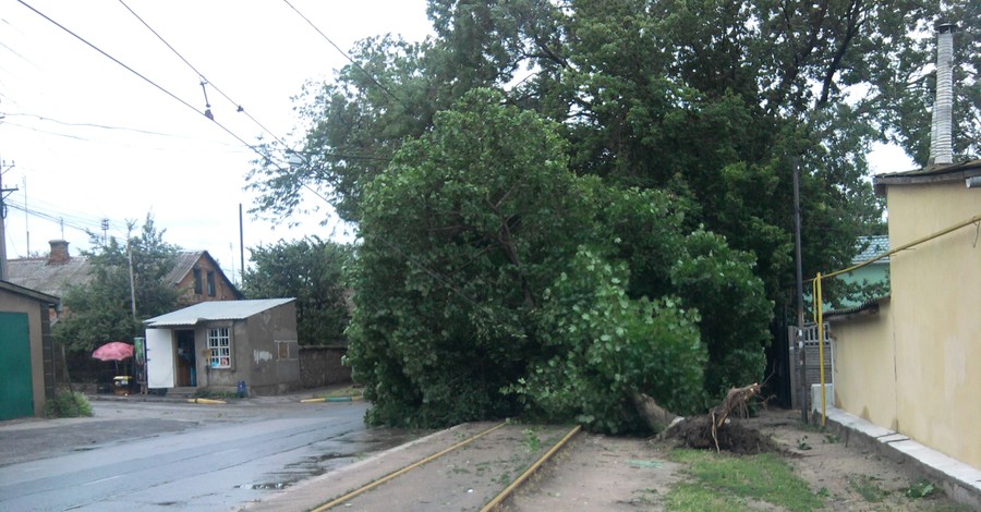 Ураган в Одессе: упавшее дерево убило бабушку