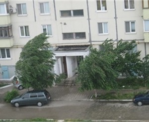 На Донетчине бушует непогода: ветер валит деревья и срывает крыши с домов