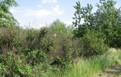 На Донетчине неизвестный «снайпер» ранил 16-летнего подростка