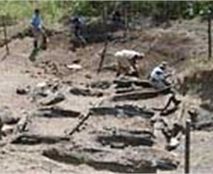 «Черные археологи» продают в интернете «места» крымских кладов 