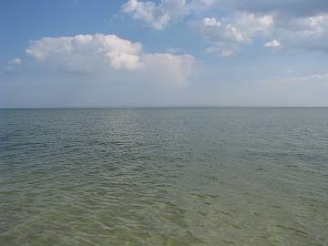 Молодежь зовут на море... поработать