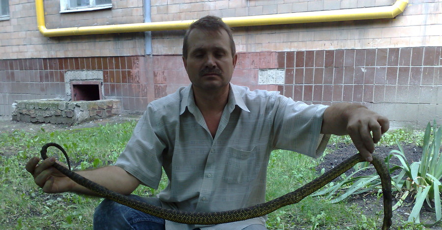 Змеи оккупировали дом в центре Донецка и наводят ужас на жильцов