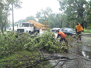 Ураган в Харькове убил пенсионерку, повалил деревья и затопил машины