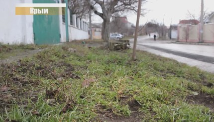 В Донецке появились почки на деревьях, а во Львове сосульки падают на прохожих