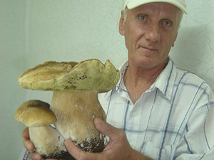 Рыбак из Энергодара нашел гигантский белый гриб