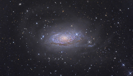 Сотрудники NASA сделали удивительный снимок галактики похожей на подсолнух