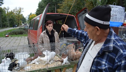 Выставка птиц в Запорожье
