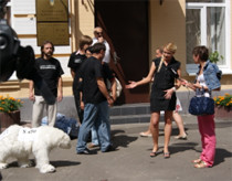 Белые медведи против Тимошенко: плюшевого зверя записали в противники экс-премьера