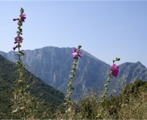 Севастопольские альпинисты собираются отобедать на вершине грузинского вулкана 