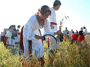 Выходные в Киеве: днем гуляем на свадьбе в Пирогово, а вечером слушаем клубную музыку