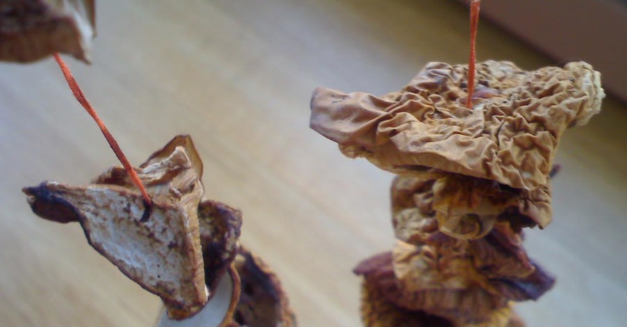 Под Донецком два старичка отравились сушеными грибами