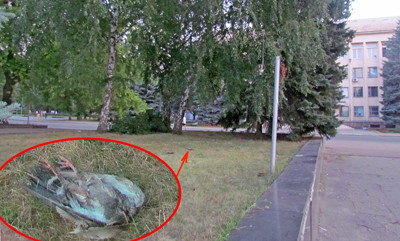 На Донетчине с неба массово падают мертвые птицы