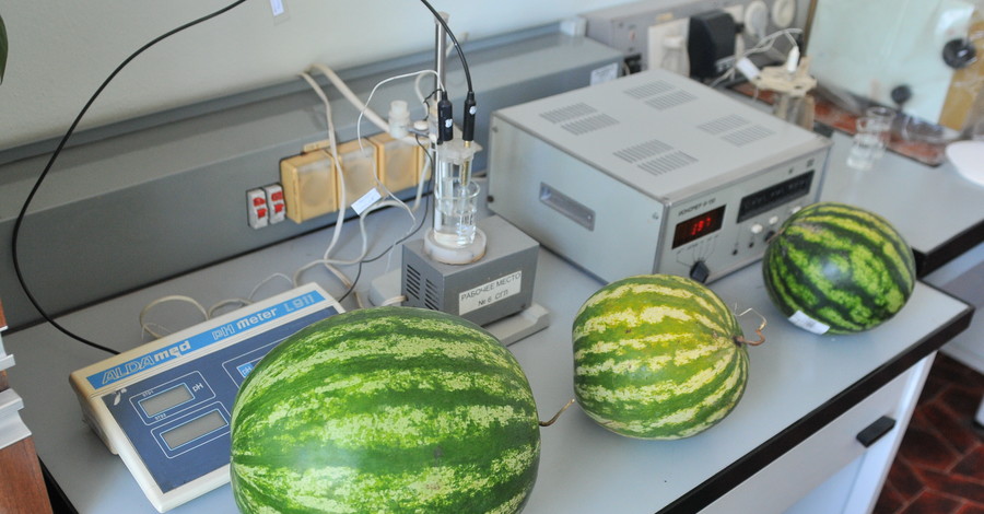 Донбасская СЭС разрешила есть арбузы