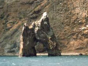 В Крыму мужчину изрубило винтом яхты