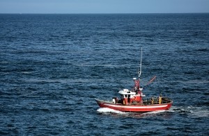 В Севастополе катера катают туристов без спасательных жилетов