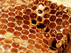 Куда пойти в выходные: гуляем на 