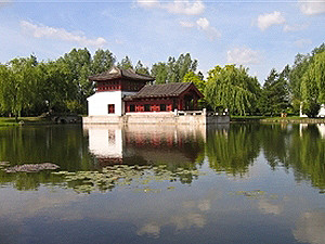 Под Донецком Honda слетела с дамбы прямо в пруд. Молодой водитель захлебнулся