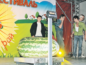 В России вырастили мегаарбуз