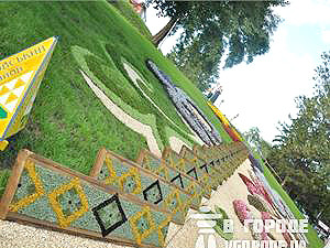 Выставка цветов на Певческом: смотрим на невиданную красоту и покупаем крошечные деревья