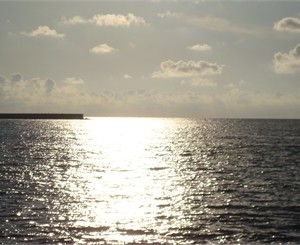 Морская вода в Черном и Азовском морях немного похолодала