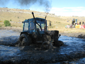 Под Симферополем покатаются наперегонки 25 тракторов