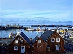 Китаец решил выкупить часть Исландии за 100 миллионов долларов