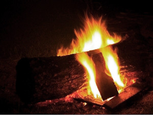 На Донбассе кто-то забросал 