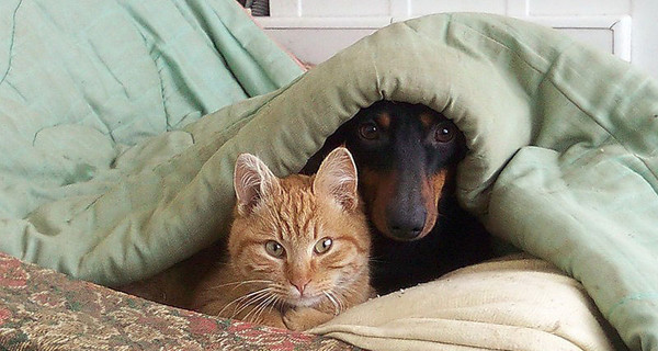 В выходные нас ждет похолодание