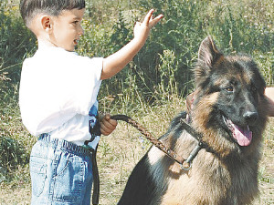 4-летний кинолог дрессирует собак уже два года