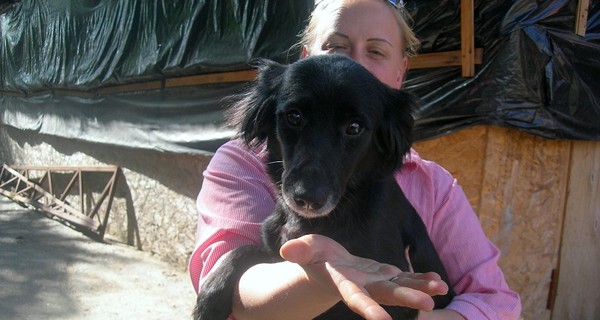 Постаревших цирковых артистов дрессировщики списали