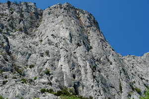 В горах под Ялтой разбился российский альпинист